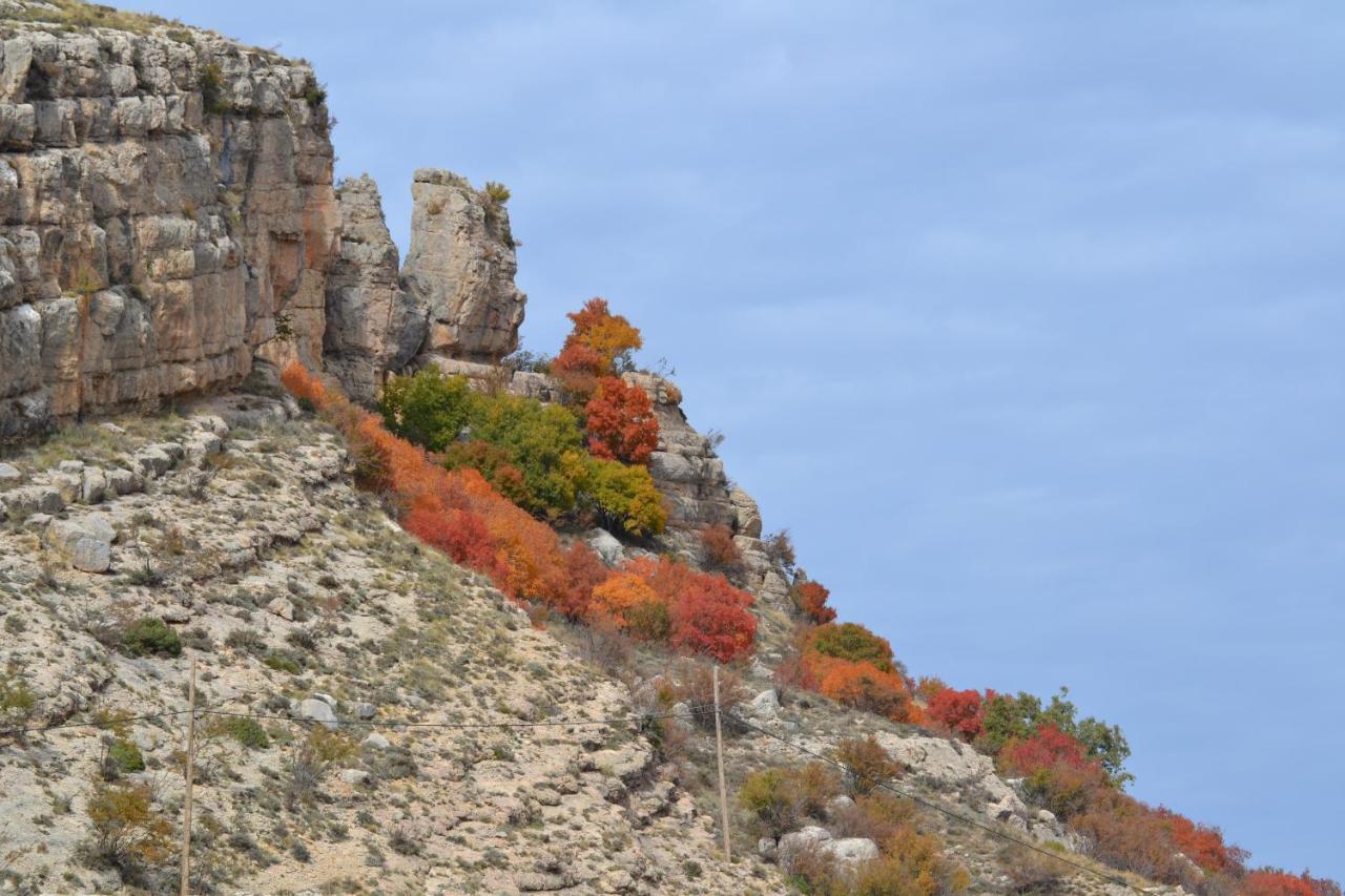 Villarroya de los PinaresCasa Elpatiodelmaestrazgo公寓 外观 照片
