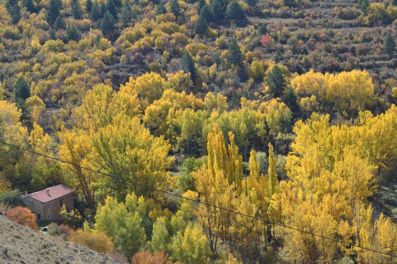 Villarroya de los PinaresCasa Elpatiodelmaestrazgo公寓 外观 照片