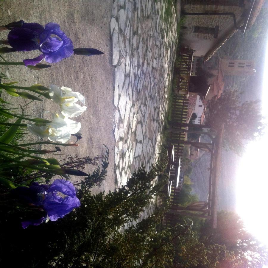 Villarroya de los PinaresCasa Elpatiodelmaestrazgo公寓 外观 照片